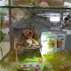 New Pet Food - Zampe in Fiera